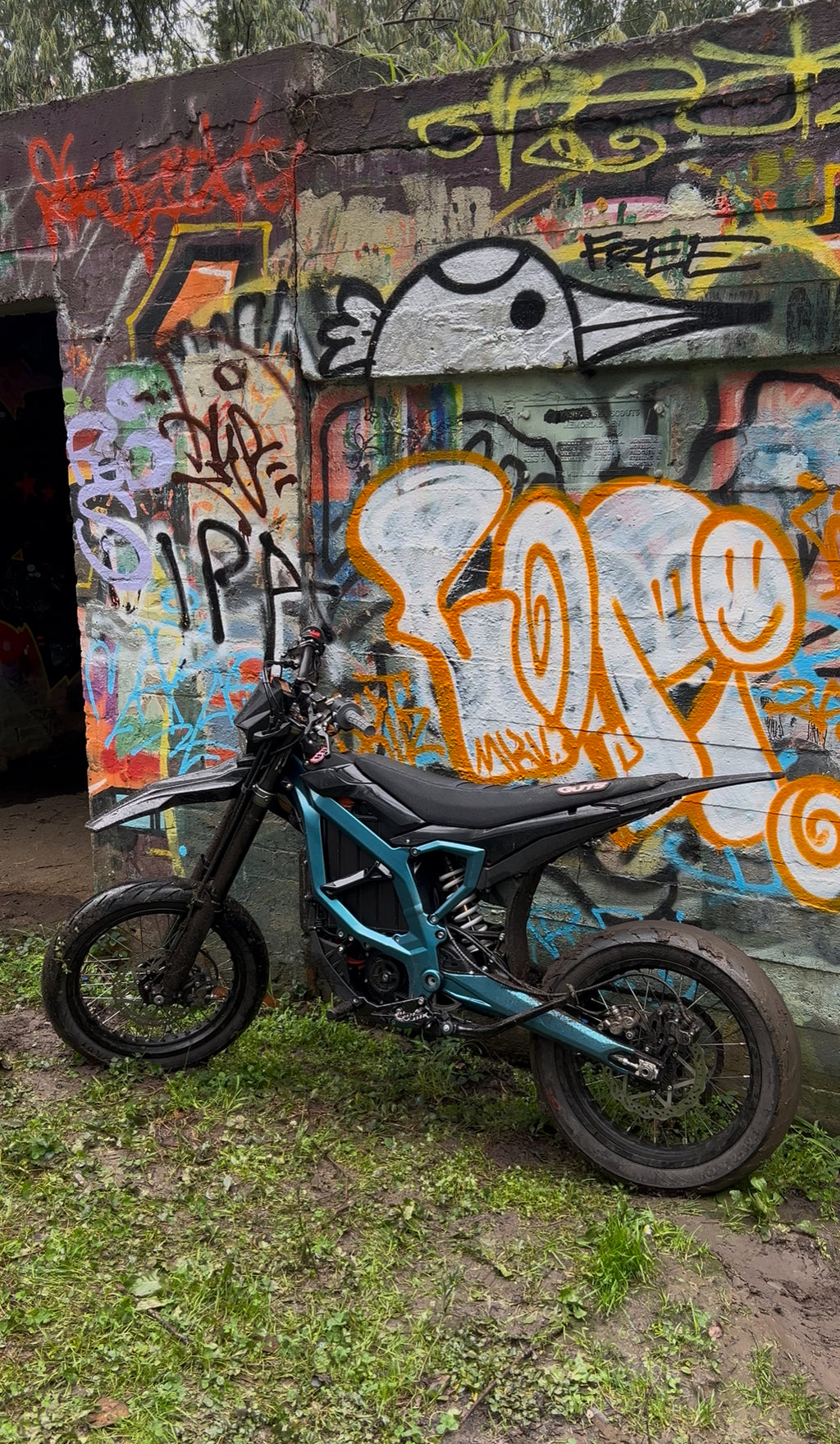 Ultra bee custom frame guards